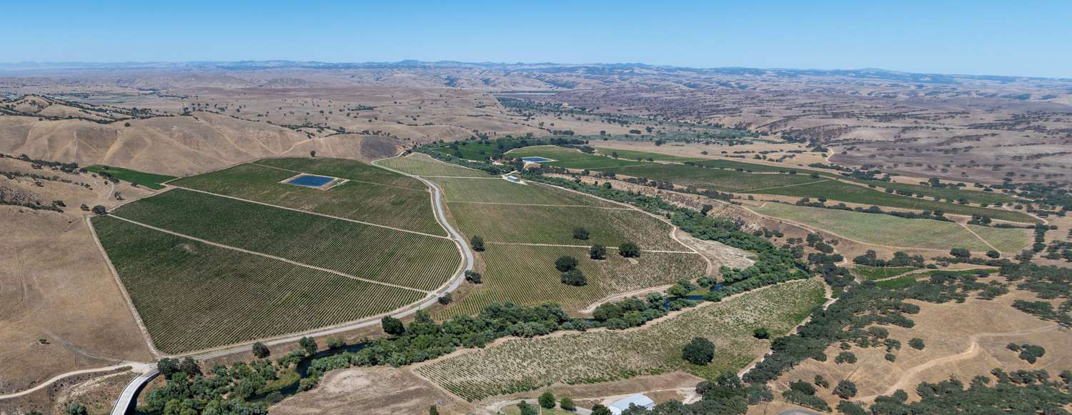 Joseph Vineyard | 76987 Nacimiento Lake Drive