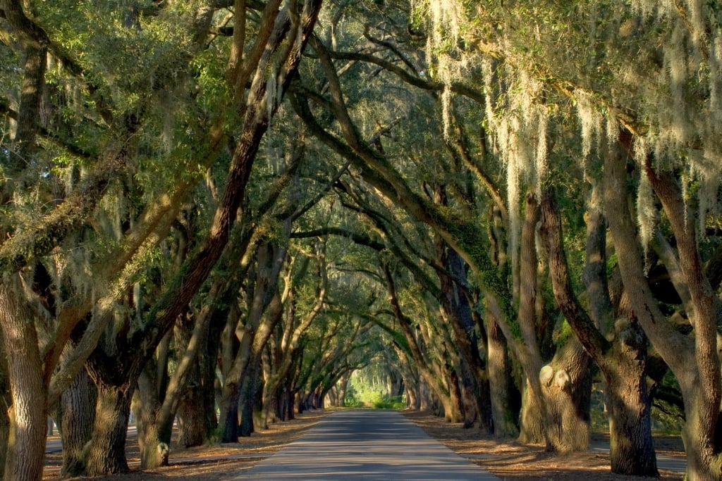 Eco-Friendly Home Upgrades That Add Value in Belfair SC
