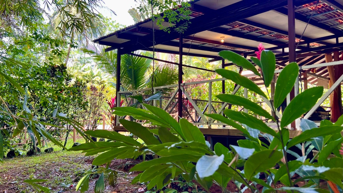 Tropical River Property with Cabinas, Pool & Event Space in Ojochal