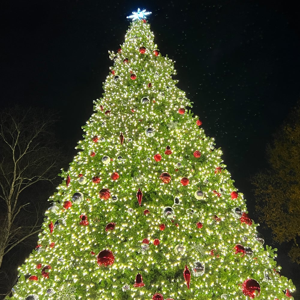 2025 Christmas Events in Roswell GA & Marietta/East Cobb: Lights, Parades, Santa & More