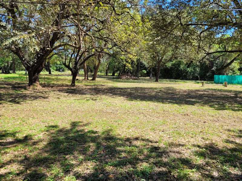 Finca Sabana | Charming Adobe-Style Home with Guest House and Pool on 2.6 Acres in Guanacaste’s Countryside