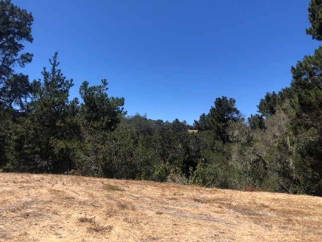 7735 Paseo Venado (Lot 82)