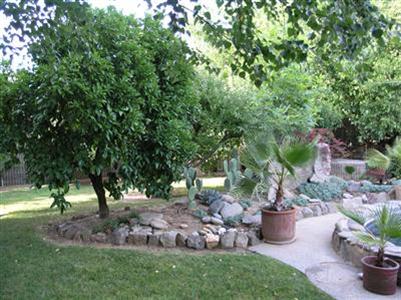 Coming Soon in Carmichael, CA 95608
