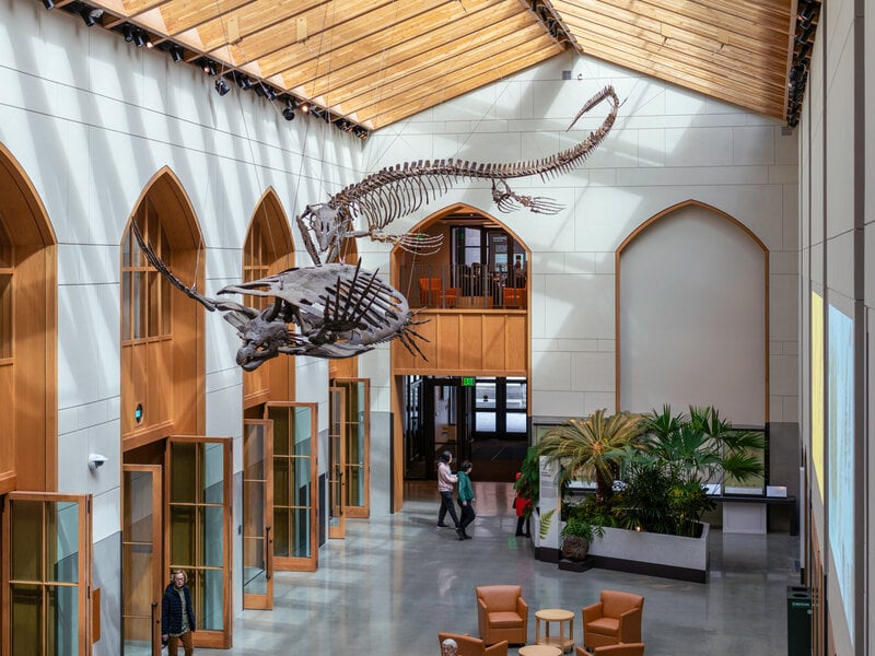  Spring Break in Fairfield County, CT: The Local Guide From Your Neighbors at Fowler Sakey Team