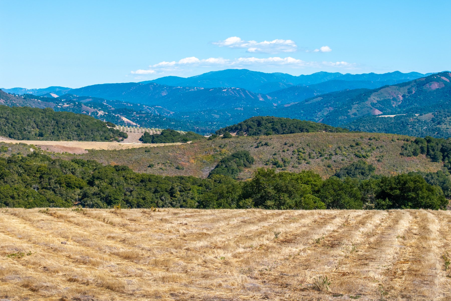 Quintana Ranch Land - 10190 Calle De Robles