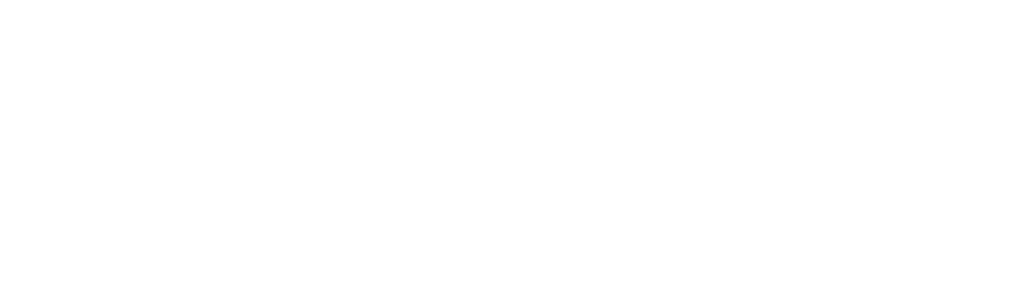 Light Logo