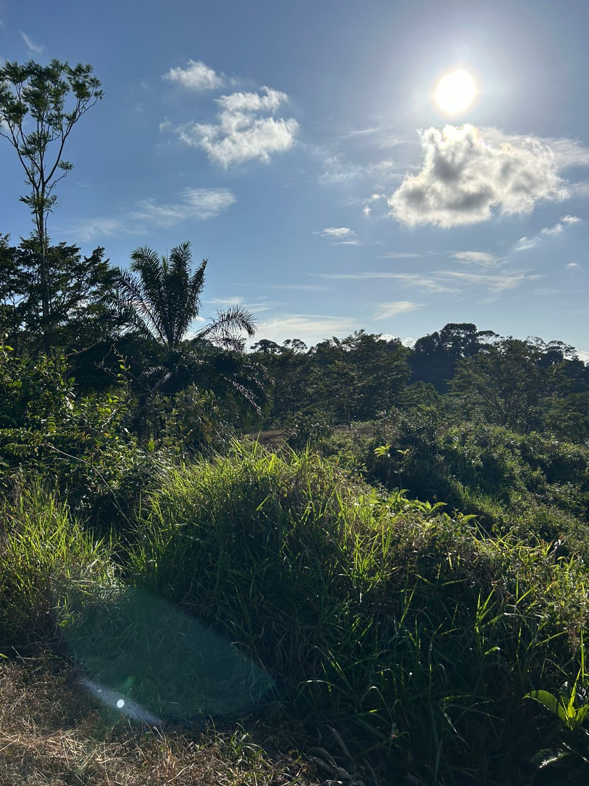 67 acres development (15 titled lots) with breathtaking views in Sierpe