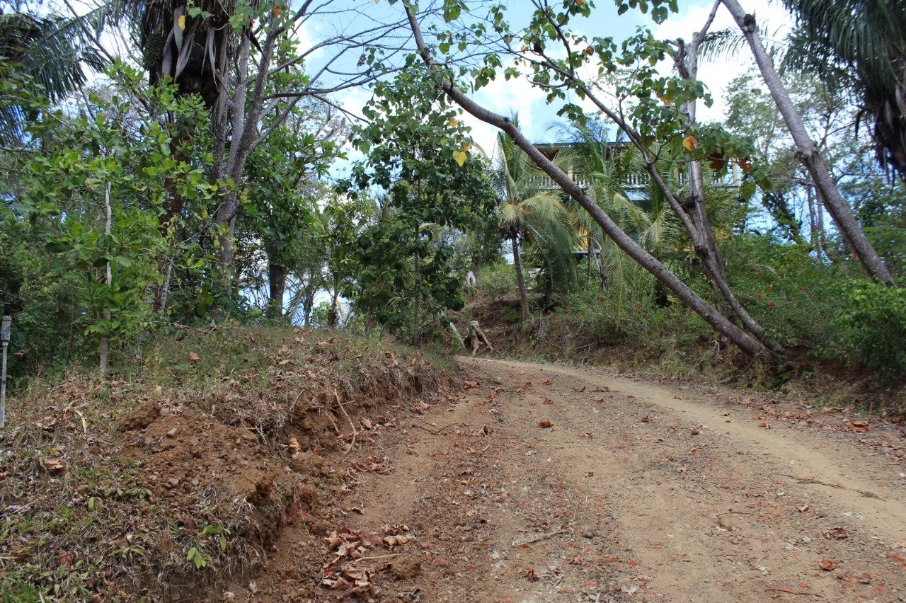 San Juanillo Farm | Large-Scale Ocean View Land with Investment Potential