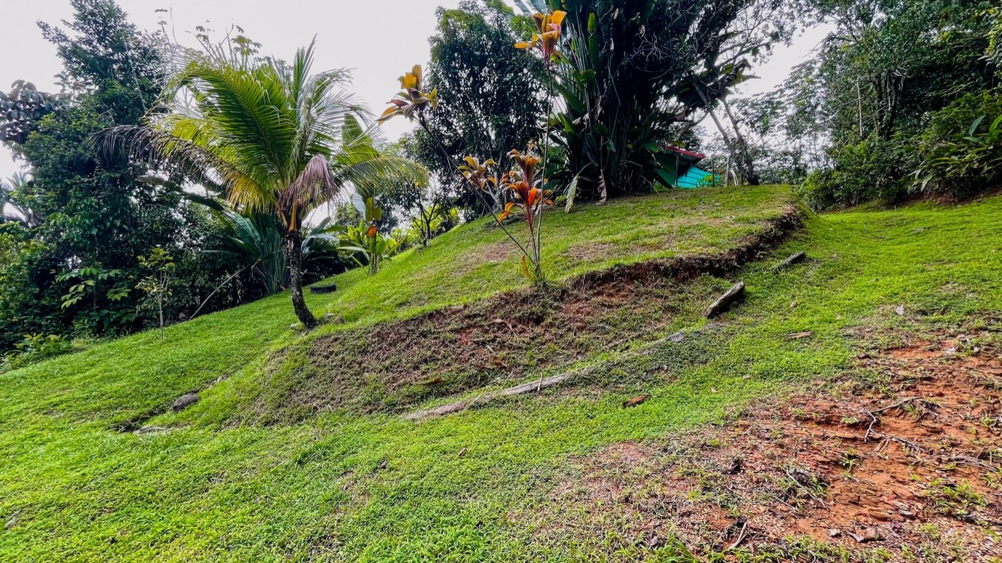 Two Homes on 1.55 Acres with Ocean & Mountain Views – Plus Room to Build!