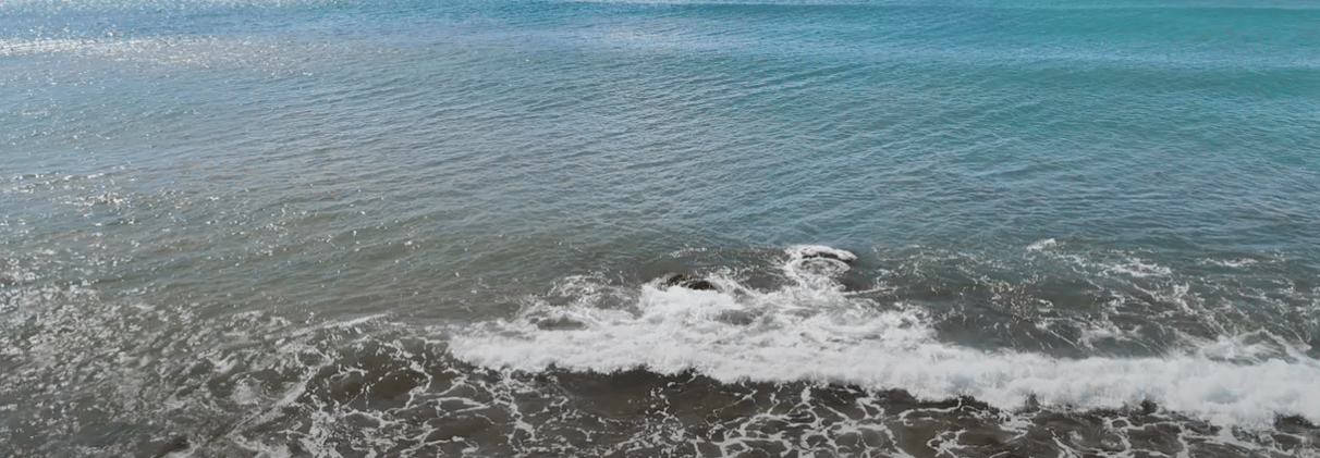 Luxum Group Hawaii Real Estate