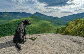 Hiker seated on a rocky overlook above forested mountain ridges.