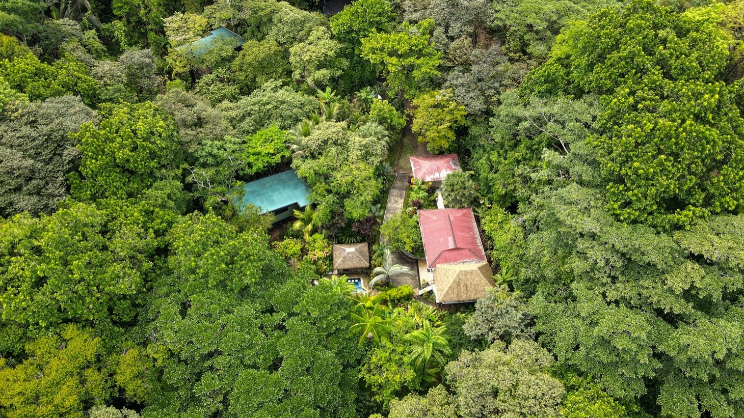 Modern House For Sale With Jungle View, Peaceful Stream, and Rental Cabins