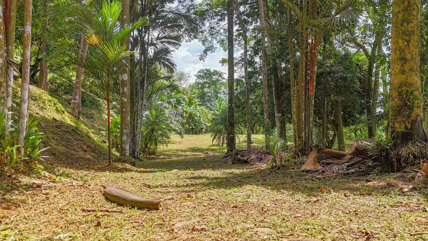 Large Uvita Lot With Whale’s Tail Ocean Views, Sunsets & Legal Water – Ready to Build!
