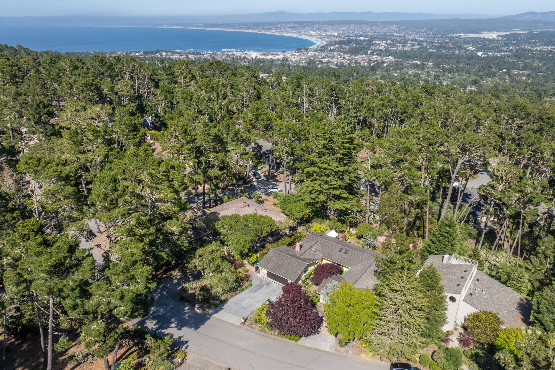 Monterey Haven