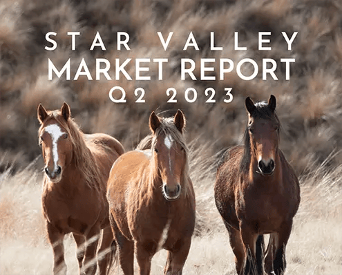 Q2 2023 Star Valley Market Report