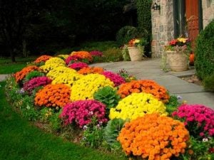 Selling in the Fall? Don’t Neglect Your Landscaping