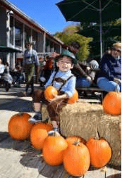 Child sitting on a hay bale among pumpkins at an outdoor fall event.