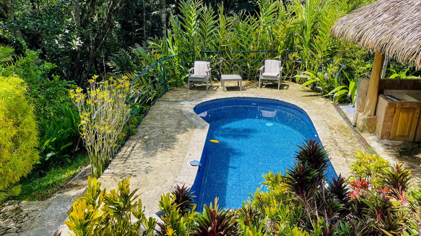 Modern House For Sale With Jungle View, Peaceful Stream, and Rental Cabins