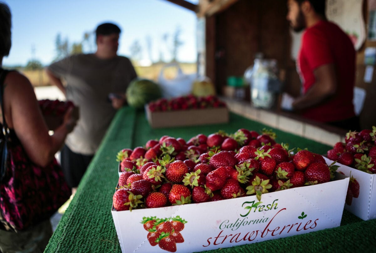 Savor Berries, Apples and More From These Sonoma Farms and Roadside Stands