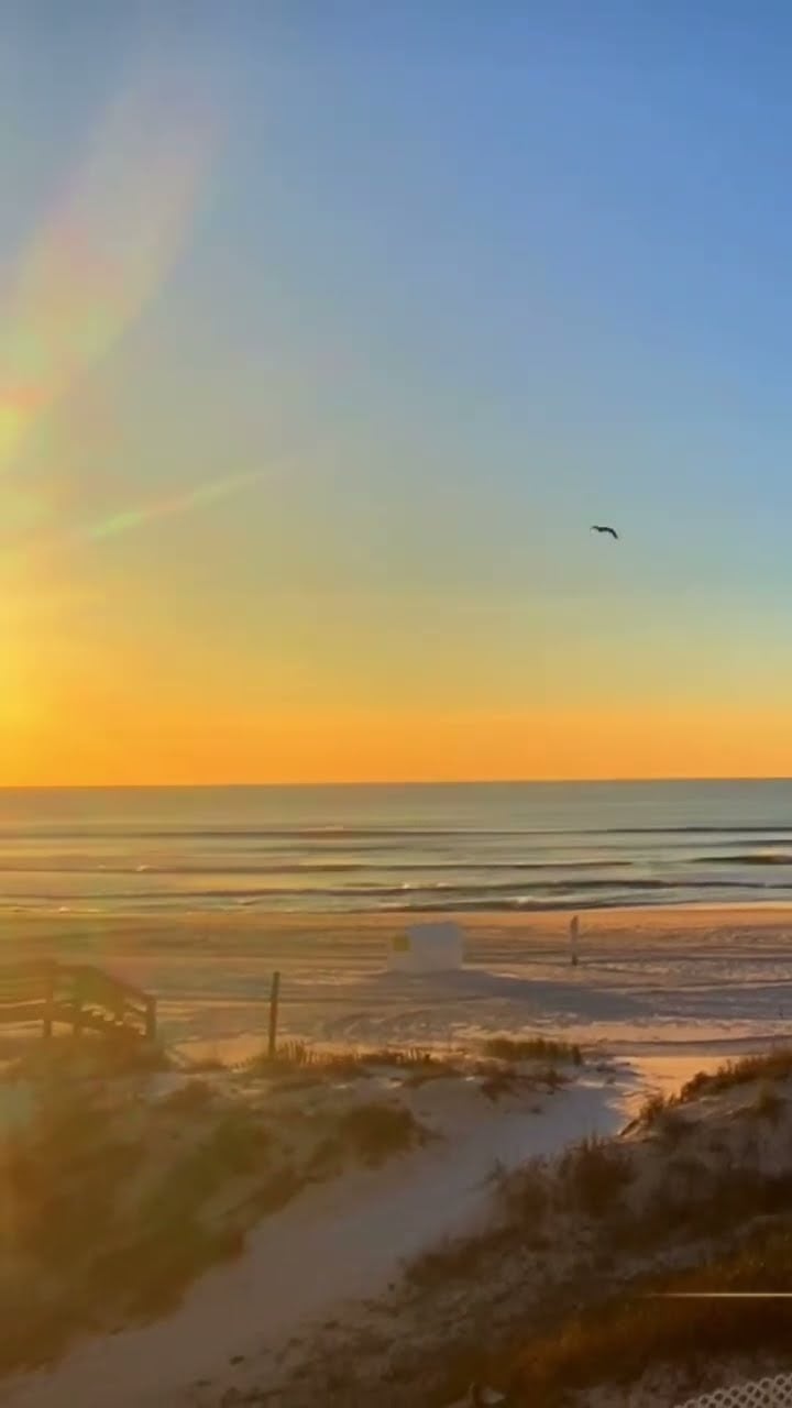Looking to escape to paradise?