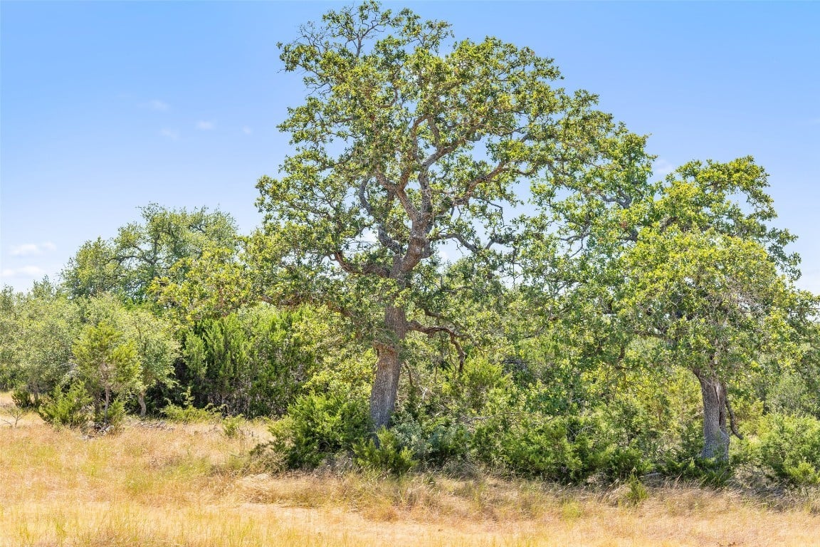 18.145 Acres Herber-schaefer Rd