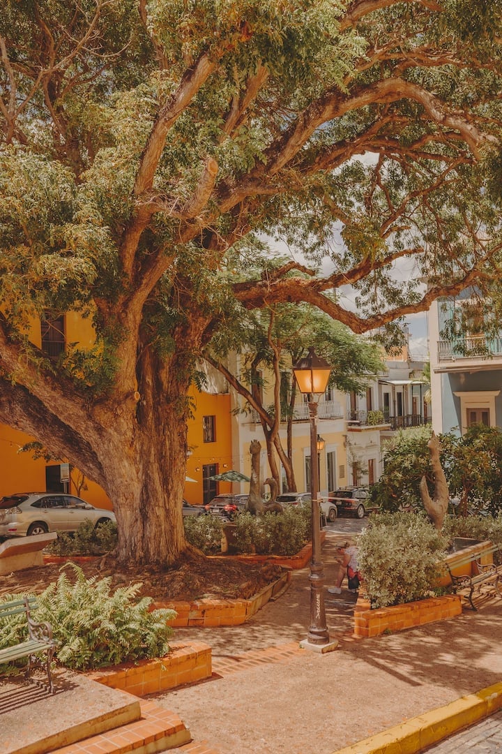 Casa Terra Porto #6 • Bright Corner Unit for 4 - Airbnb