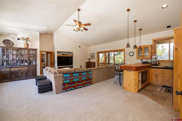 175 Spruce Mesa Drive