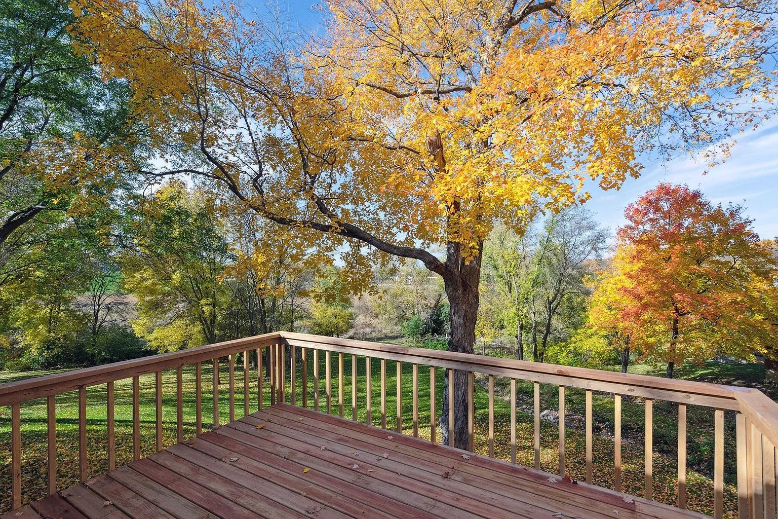 Updated Walkout Rambler on Gorgeous, Half-Acre Lot
