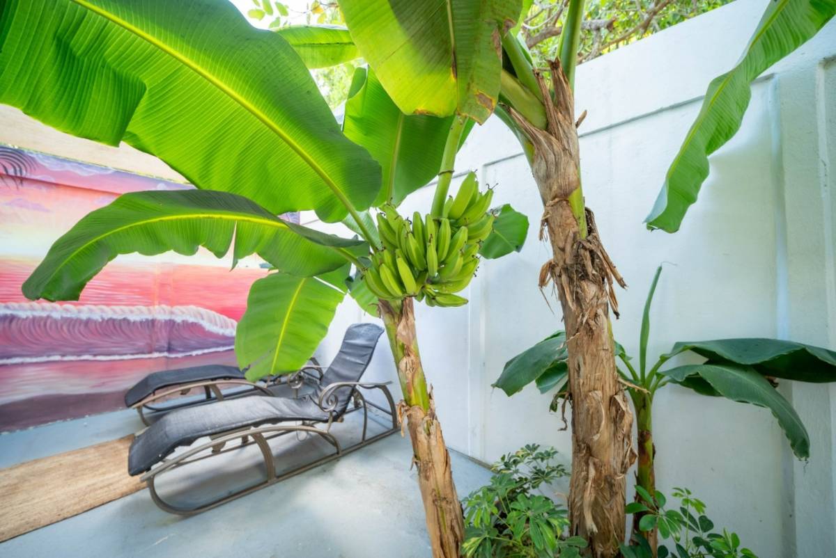 Hotel Curiol, Playa Potrero, Cabo Velas