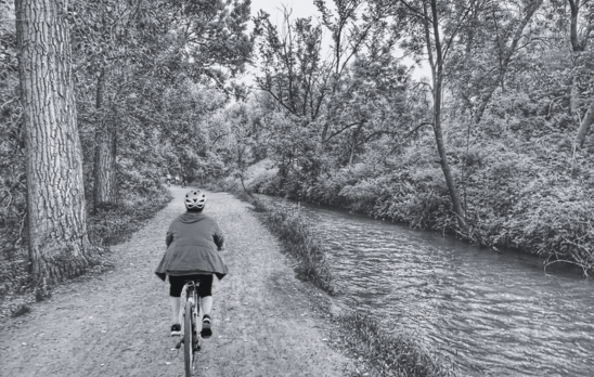 Fountain Creek Nature Center: A Must-Visit Outdoor Escape Near Colorado Springs