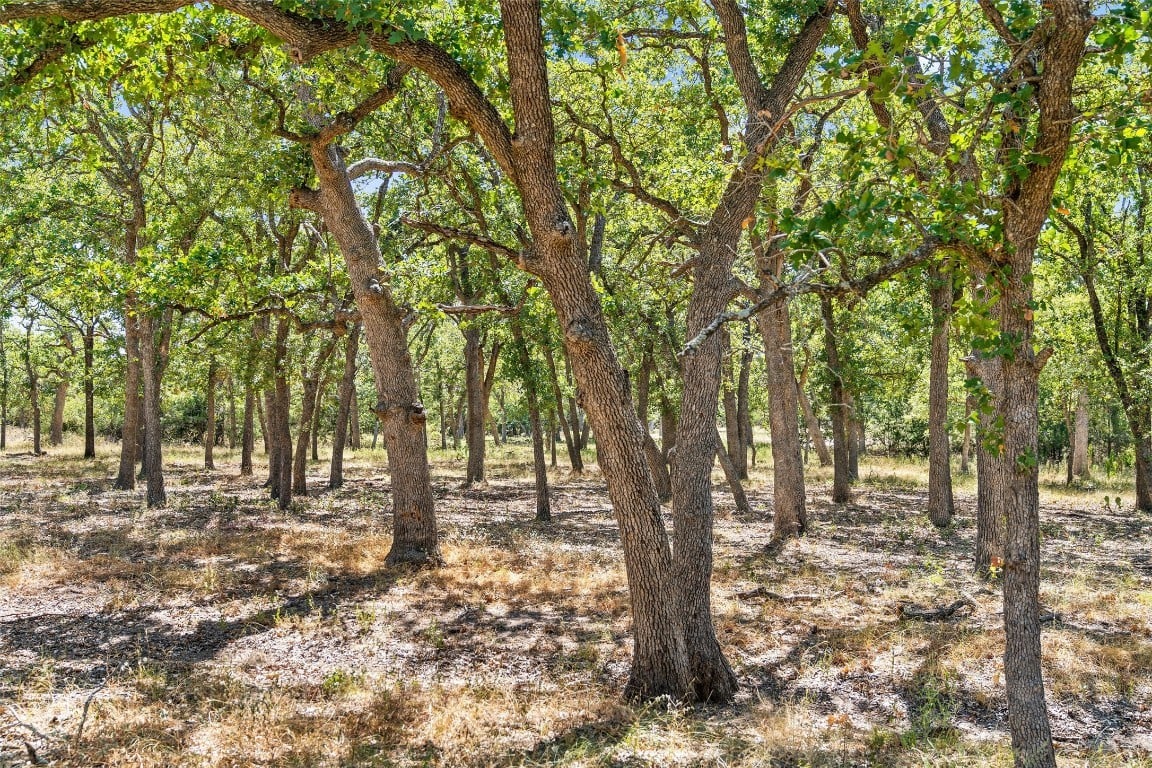 18.145 Acres Herber-schaefer Rd