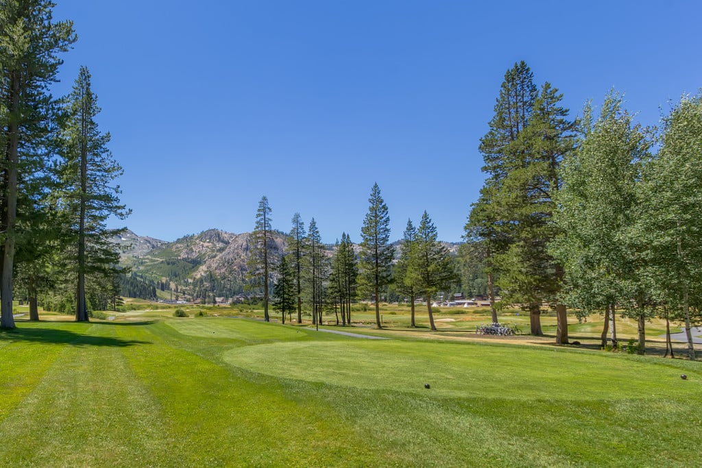 Golf course fairway framed by pine trees, with mountains in the distance.