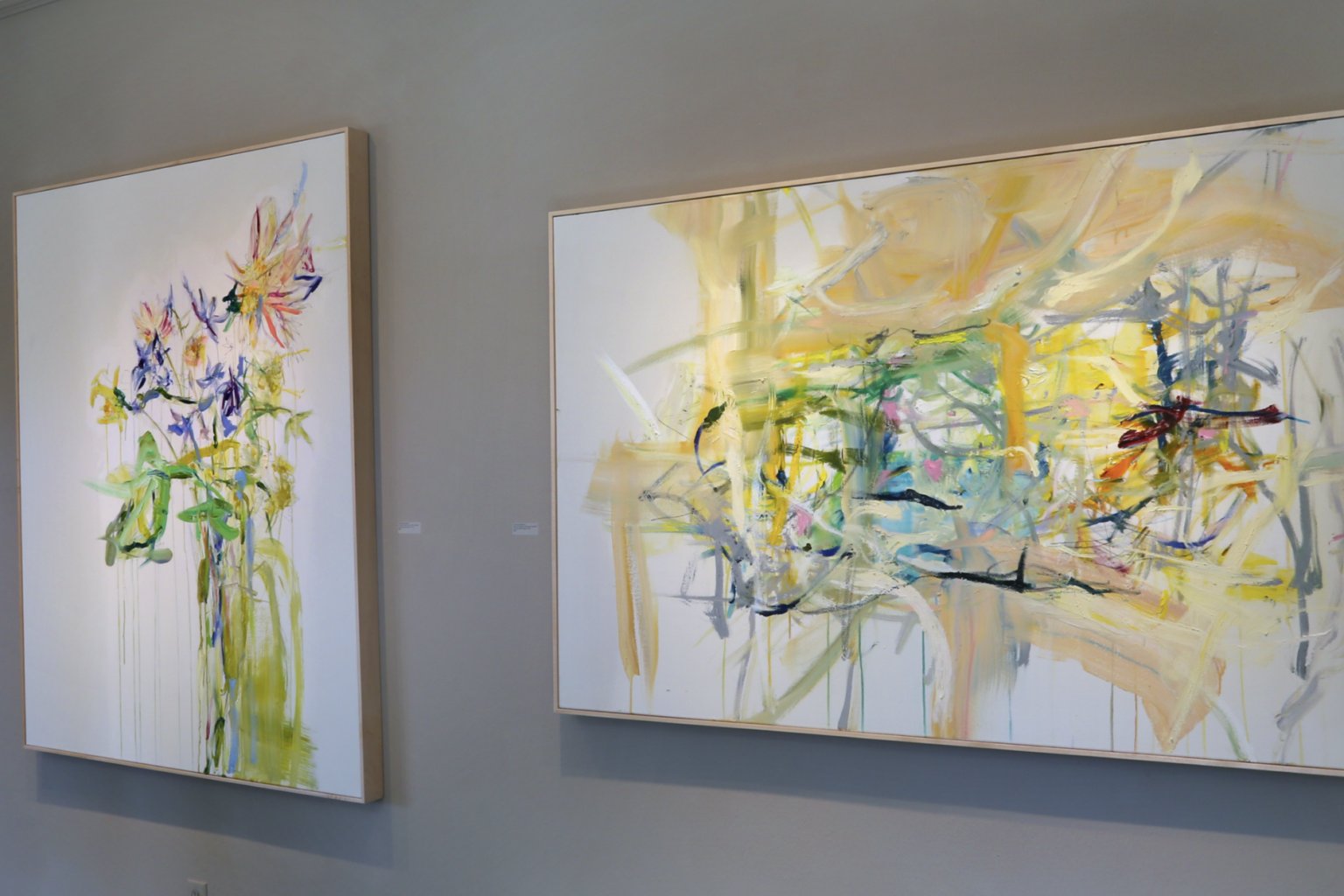 Guest houses with green lawn