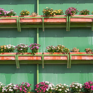 DIY Ideas for a Backyard Oasis!