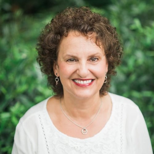 Joy Lovoy Asheville, NC Real Estate Agent Headshot