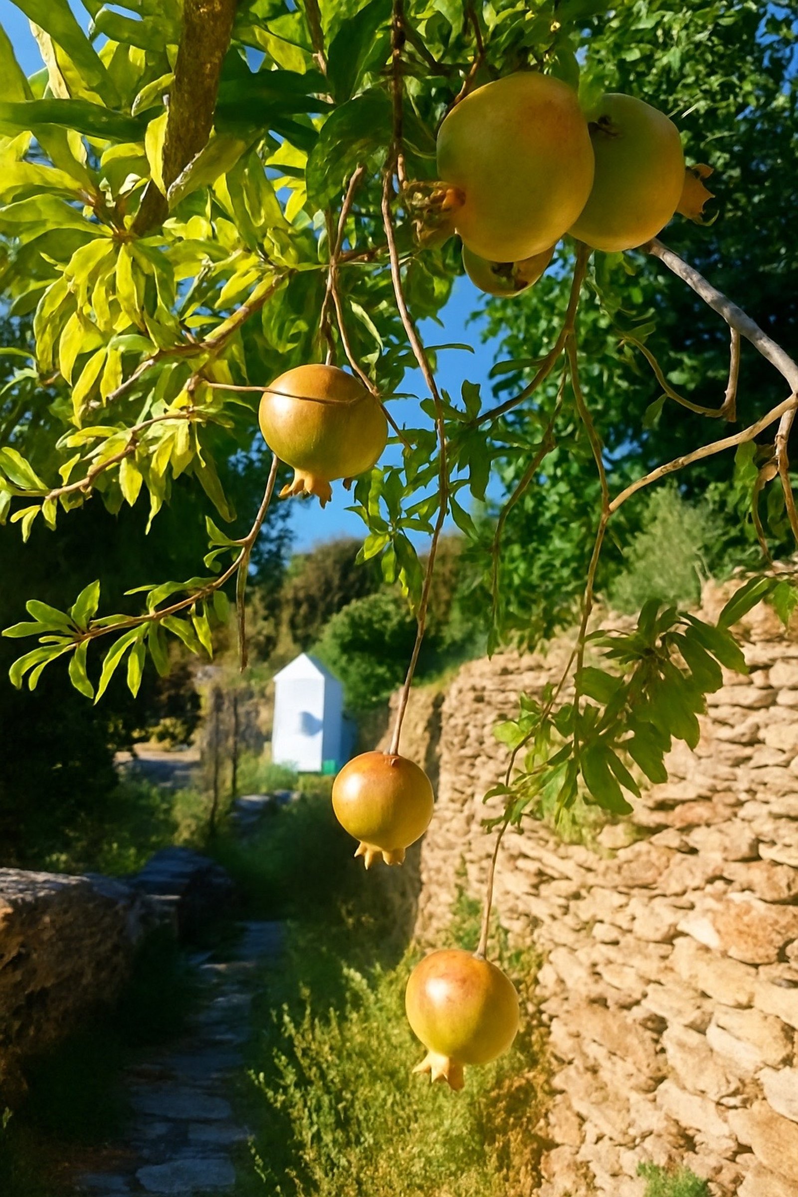 The Secret Paths Stone House