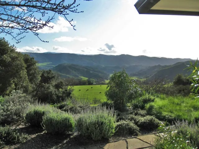 Carmel Valley