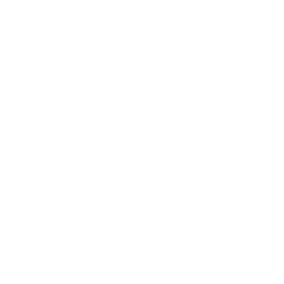Storefront icon