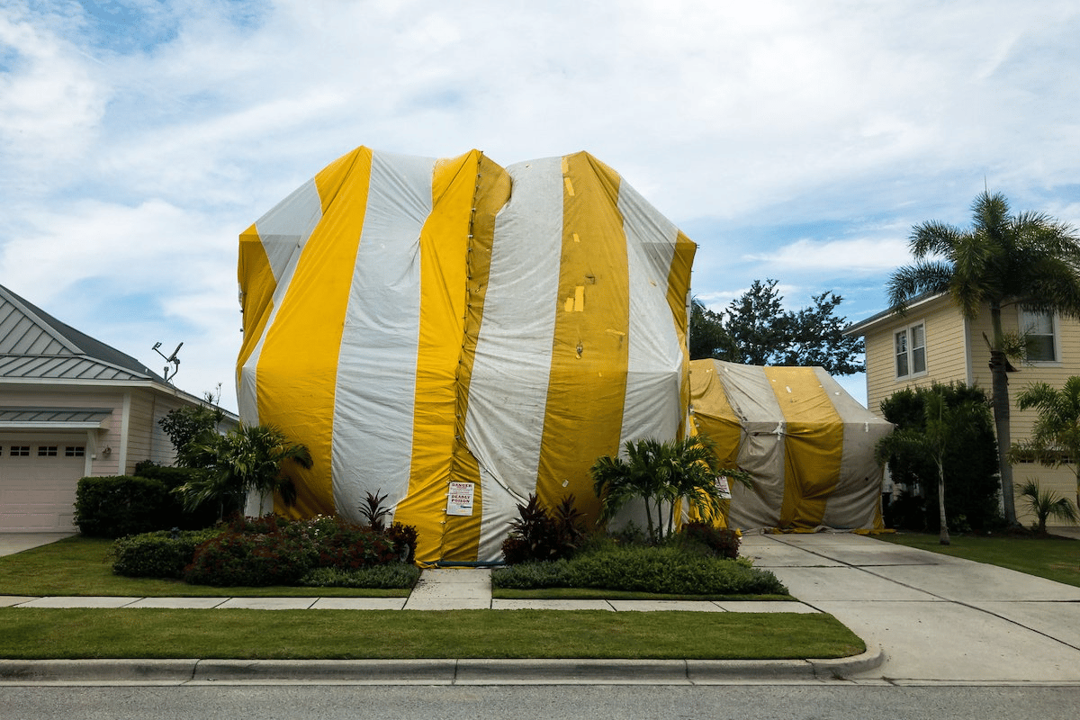 Do I have termites?