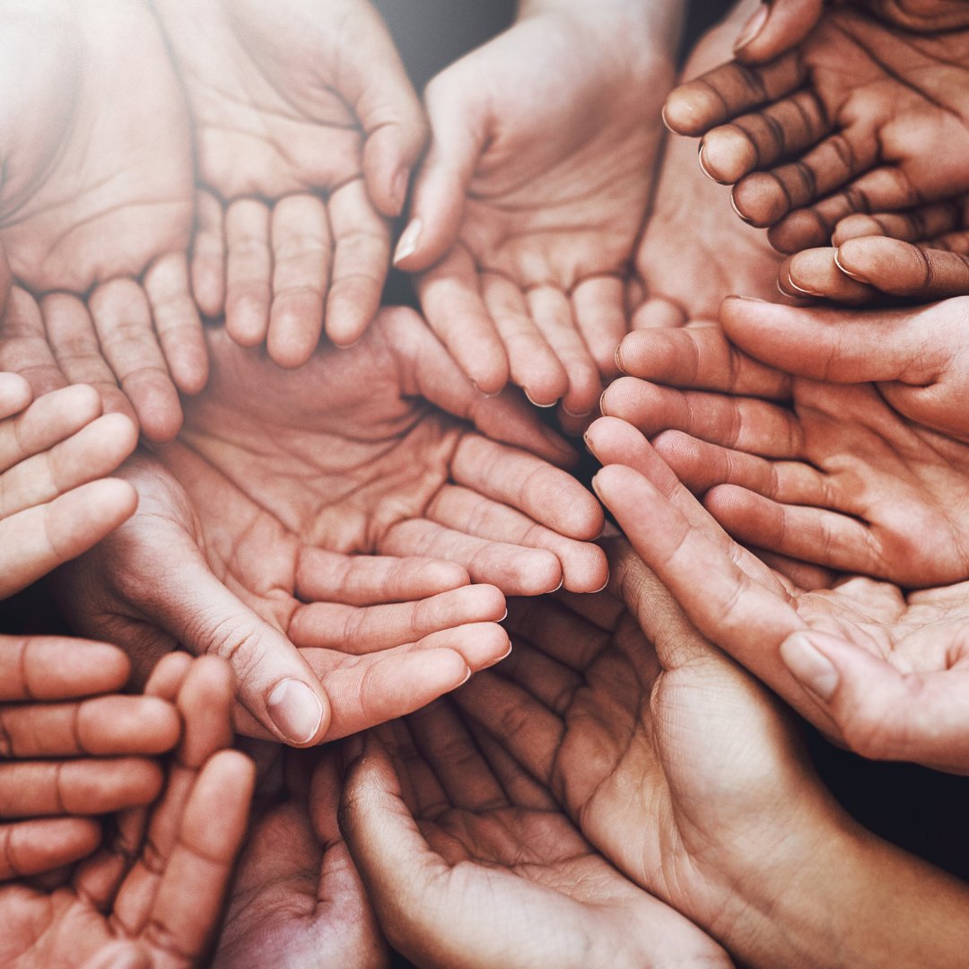 Shelter, Food, Education, Childcare, Healthcare, Transportation, Savings