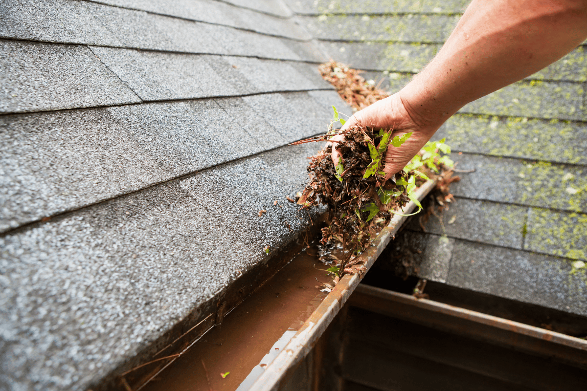 Summer Home Maintenance Checklist for Victoria Homeowners