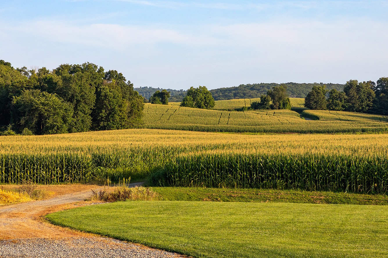 Mill Farm 