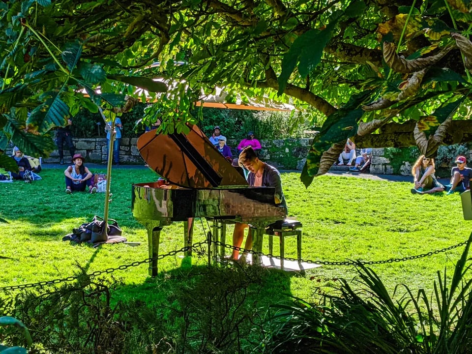 Pianist performing on grand piano in sunny botanical garden with audience sitting on grass under leafy canopy