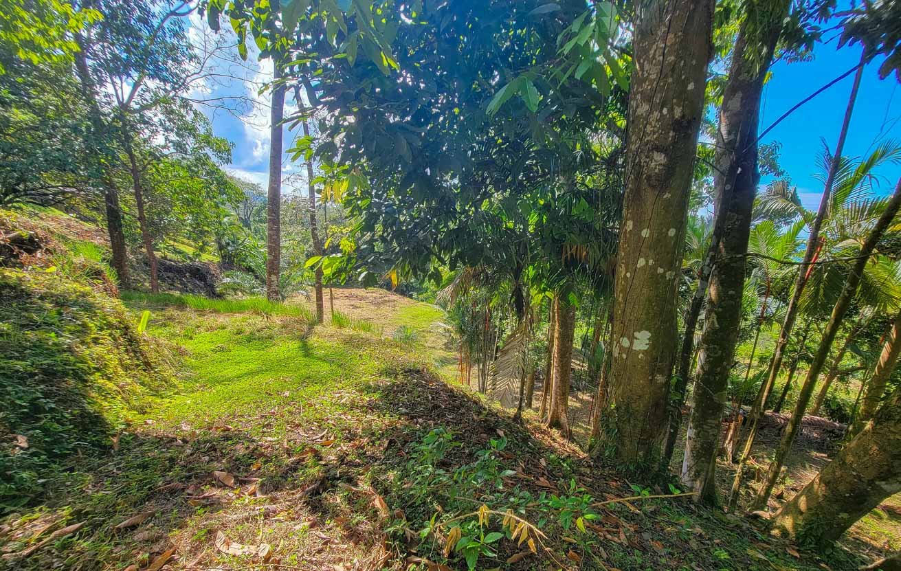 Large Uvita Lot With Whale’s Tail Ocean Views, Sunsets & Legal Water – Ready to Build!