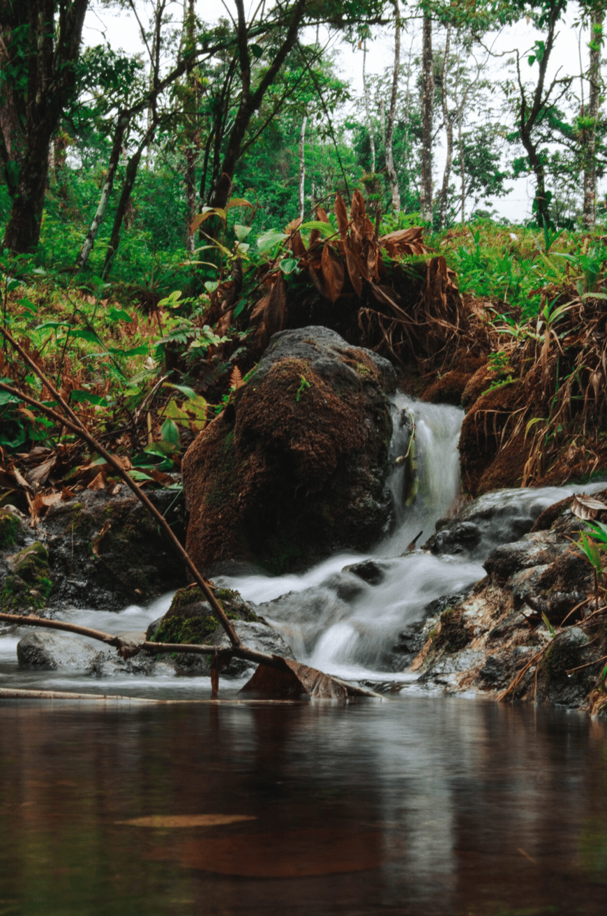 Finca Rincon De La Vieja, 61 Acre Costa Rican Paradise
