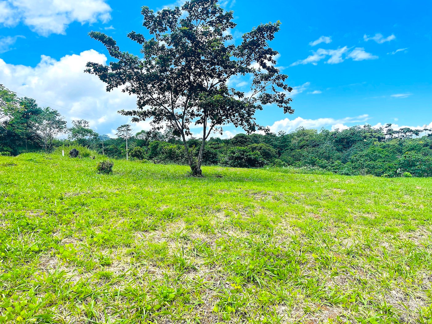 MOUNTAIN VIEW PROPERTY – PHASE 11 LOT 25 – 1.67 Acres