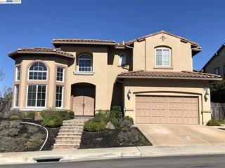 Hayward Hills 
