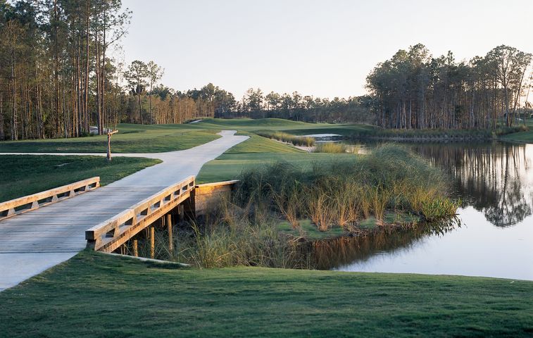 Olde Cypress