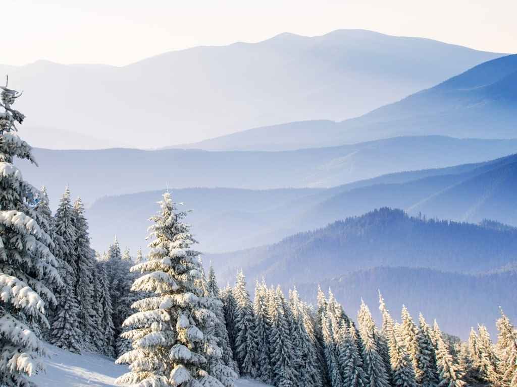 Snow-covered evergreens in front of layered blue mountain ridges on a hazy winter day
