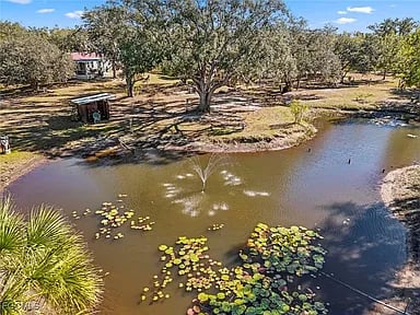 29414 Pine Villa Cir